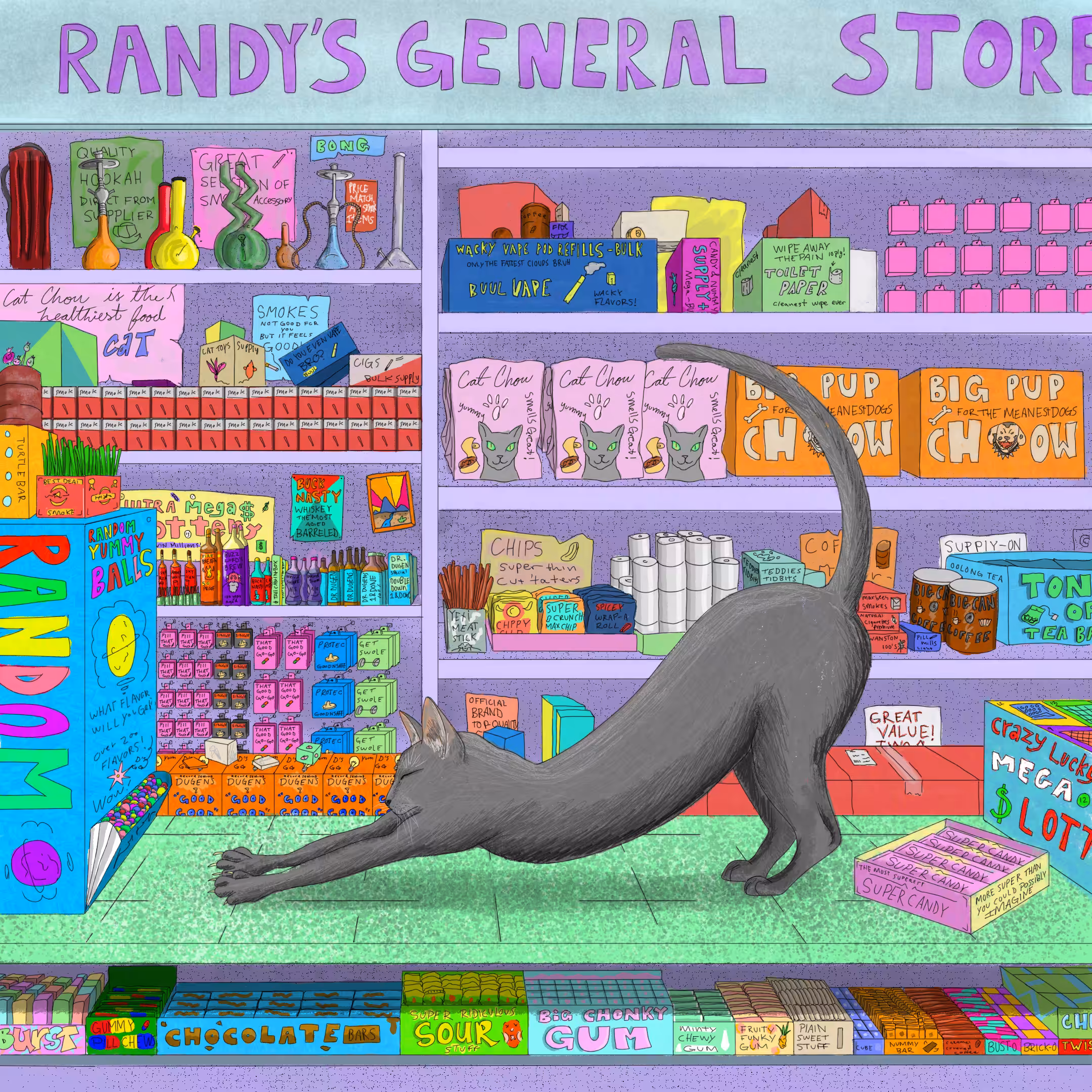 Bodega Cat
