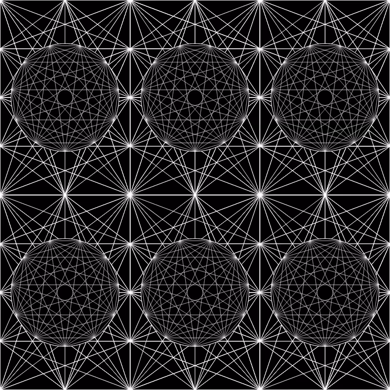 Dat Web #15