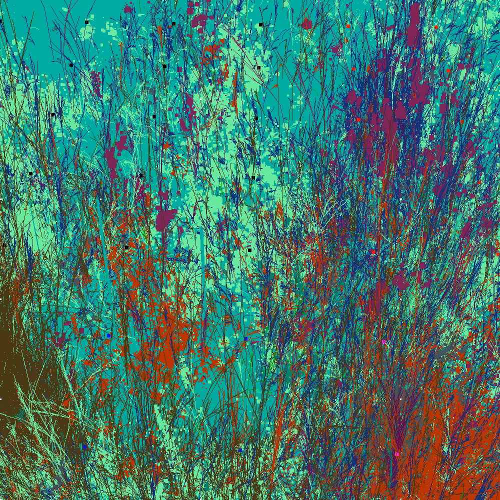 Infinite Garden: 95339 Flowers