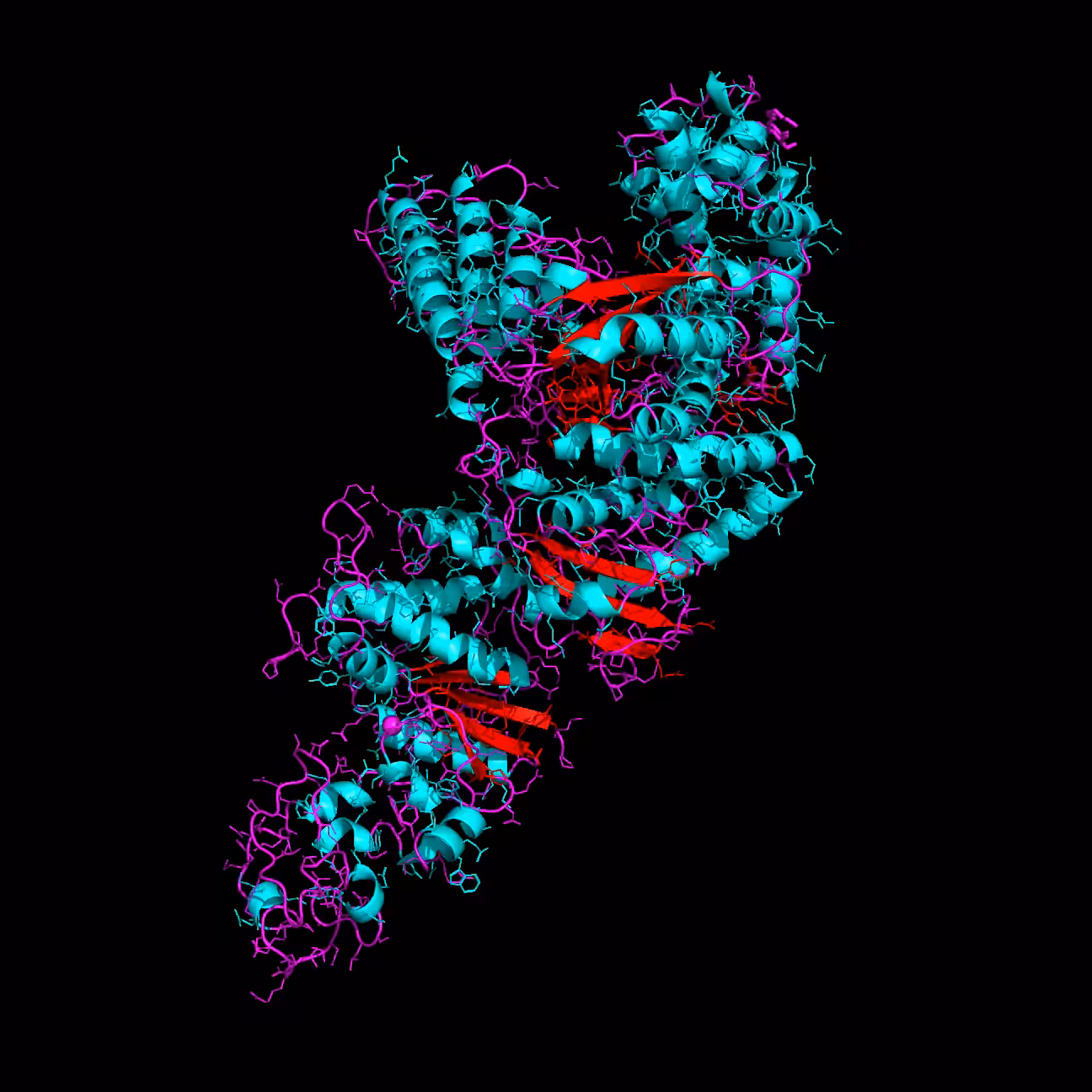 Prime Time – Taq polymerase candy