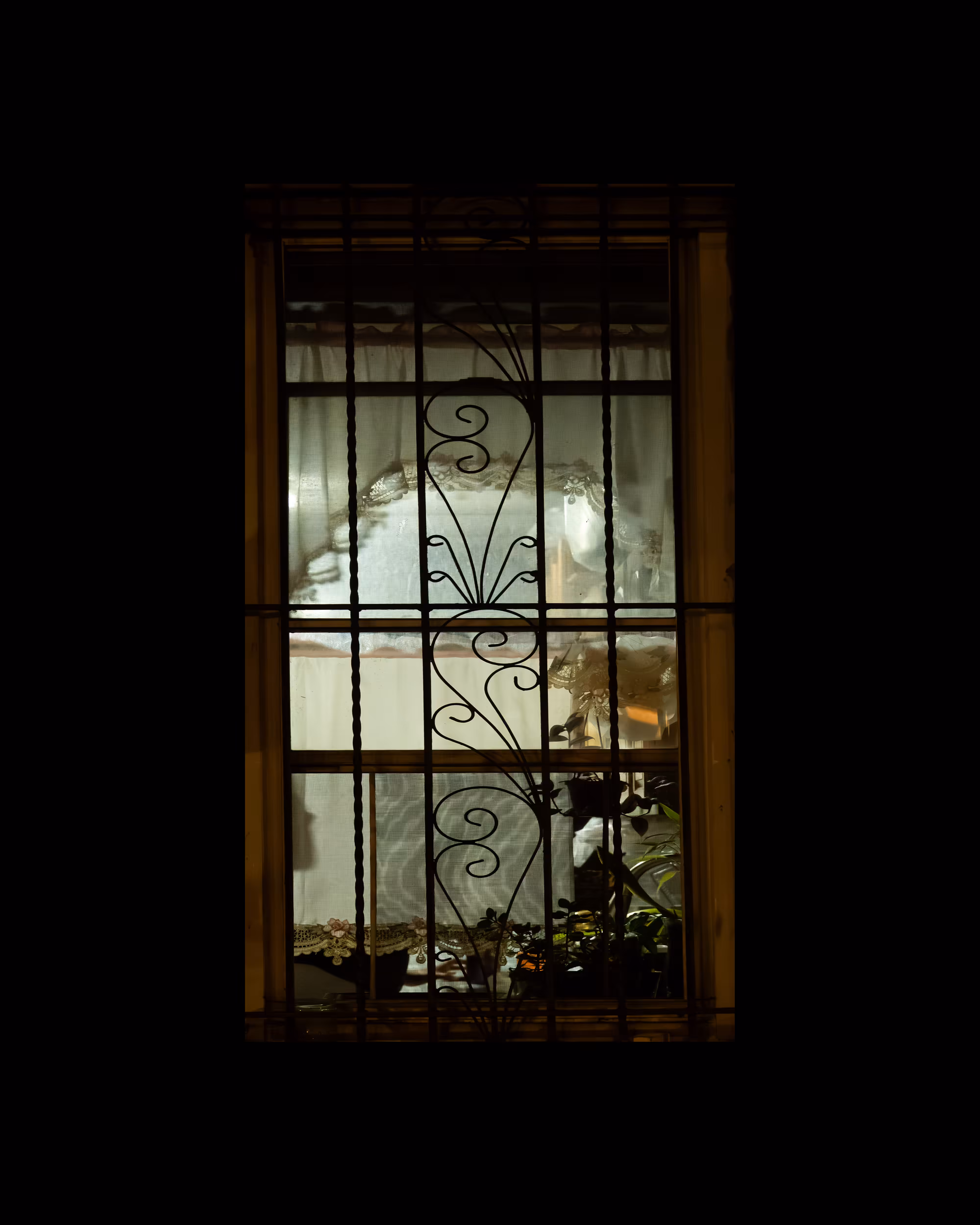 WINDOWS // NYC: WINDOW 833