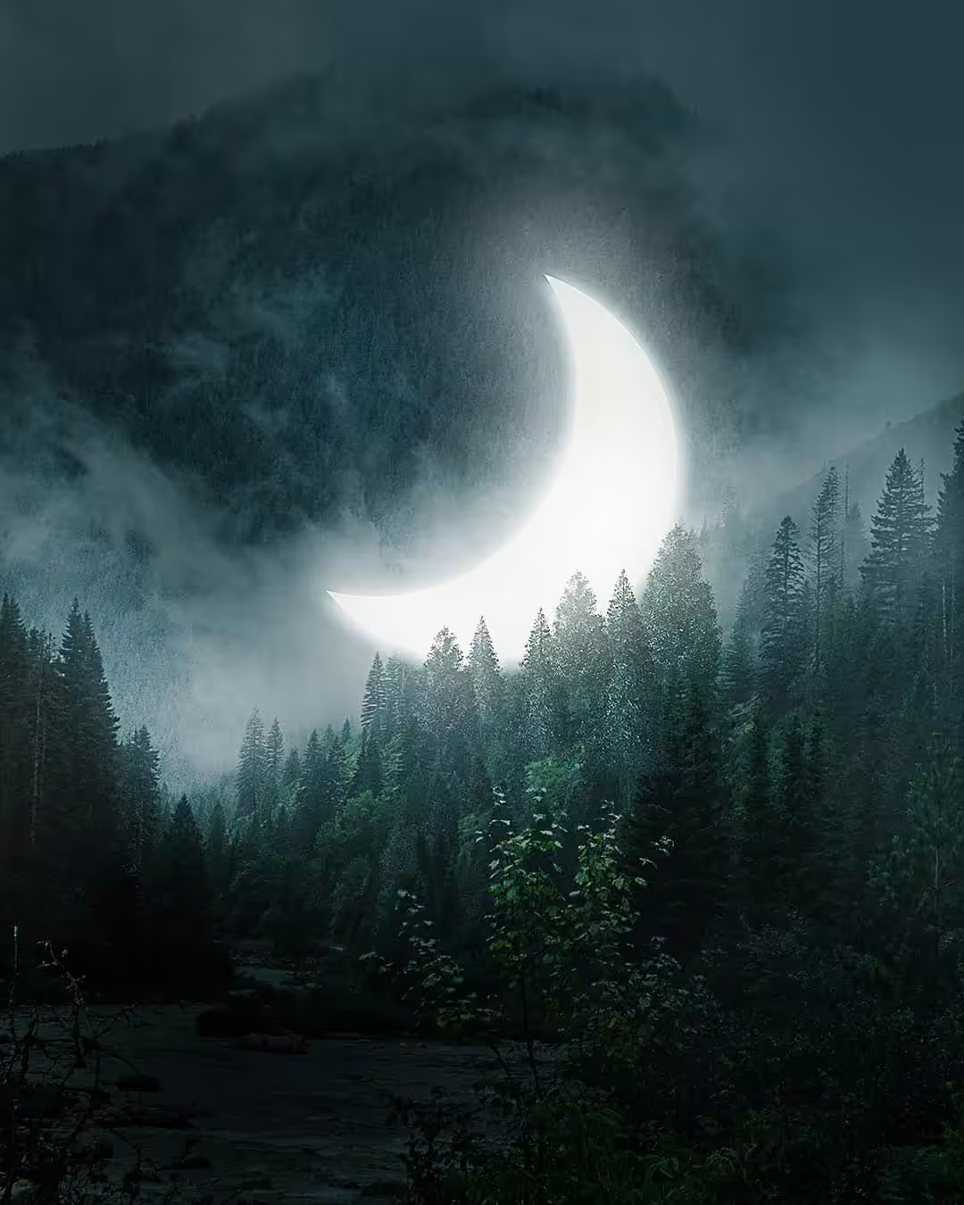 Moon Landed 
