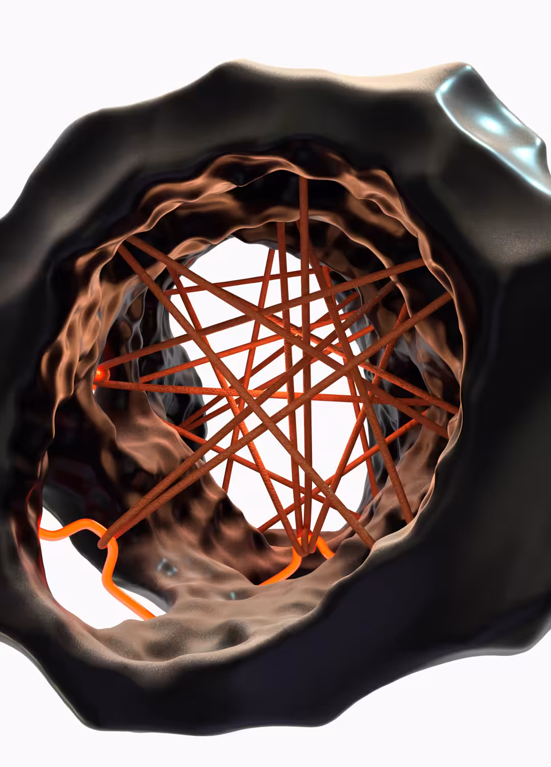 Everything Is Connected