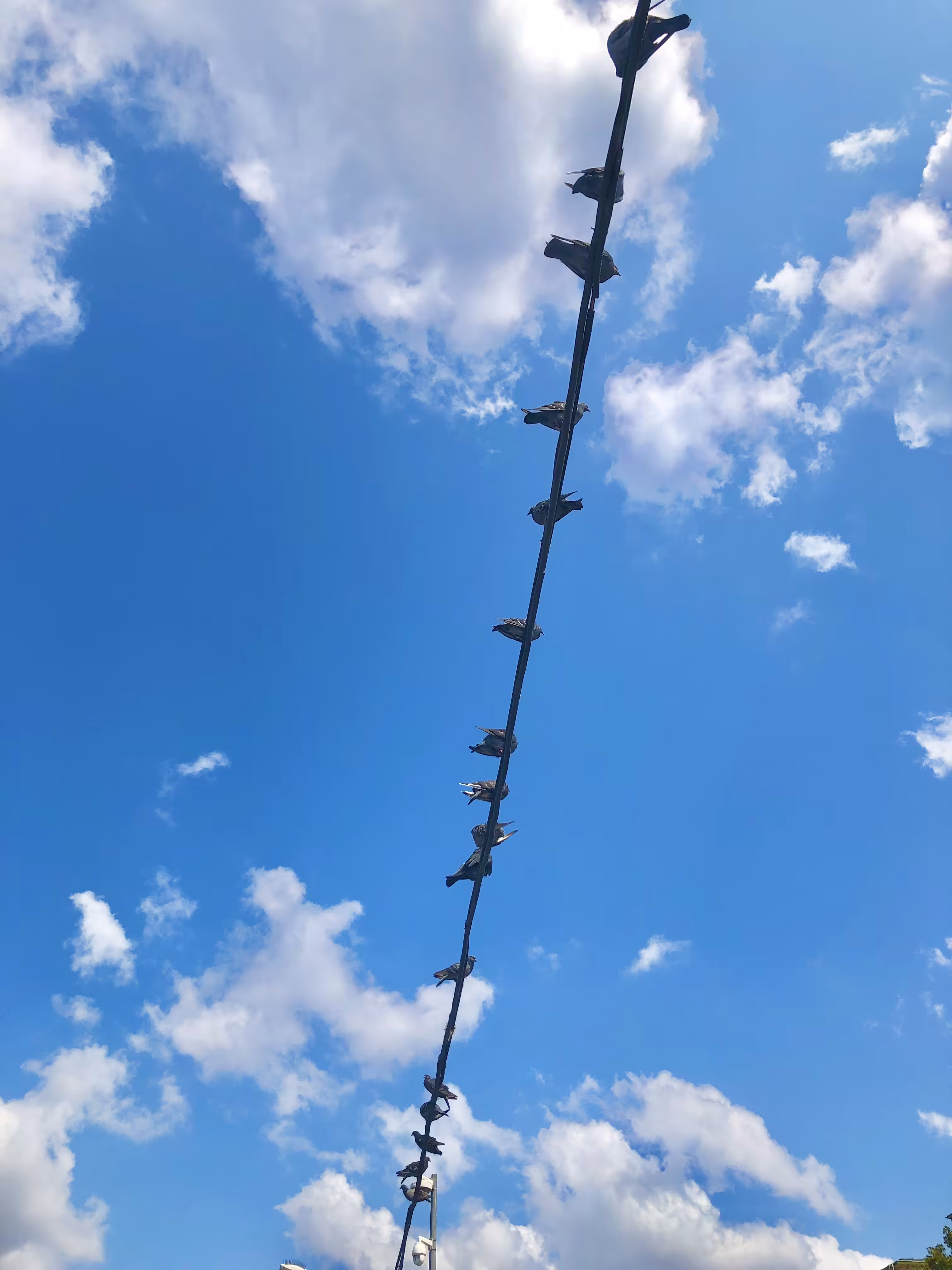 Sky