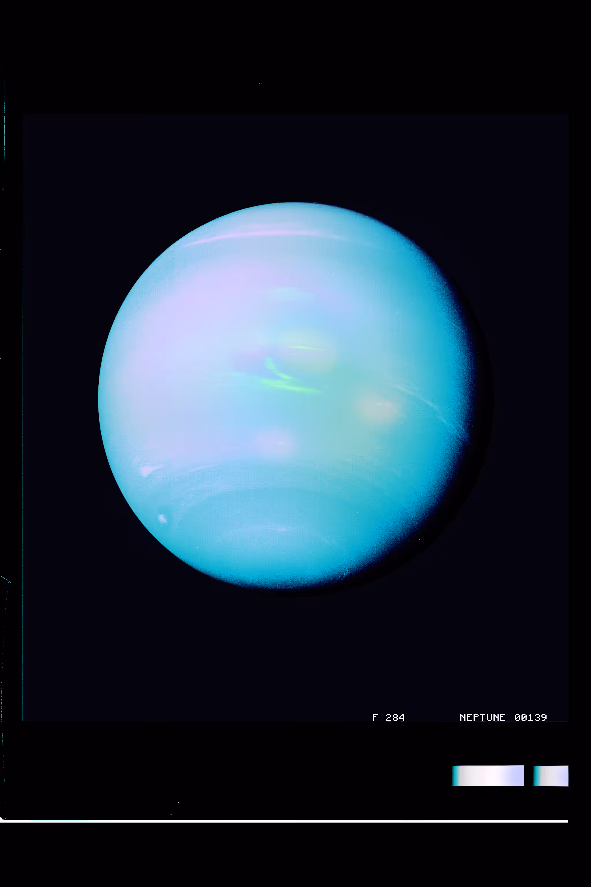 【﻿Ｌｉｆｅ　ｏｎ　Ｎｅｐｔｕｎｅ】