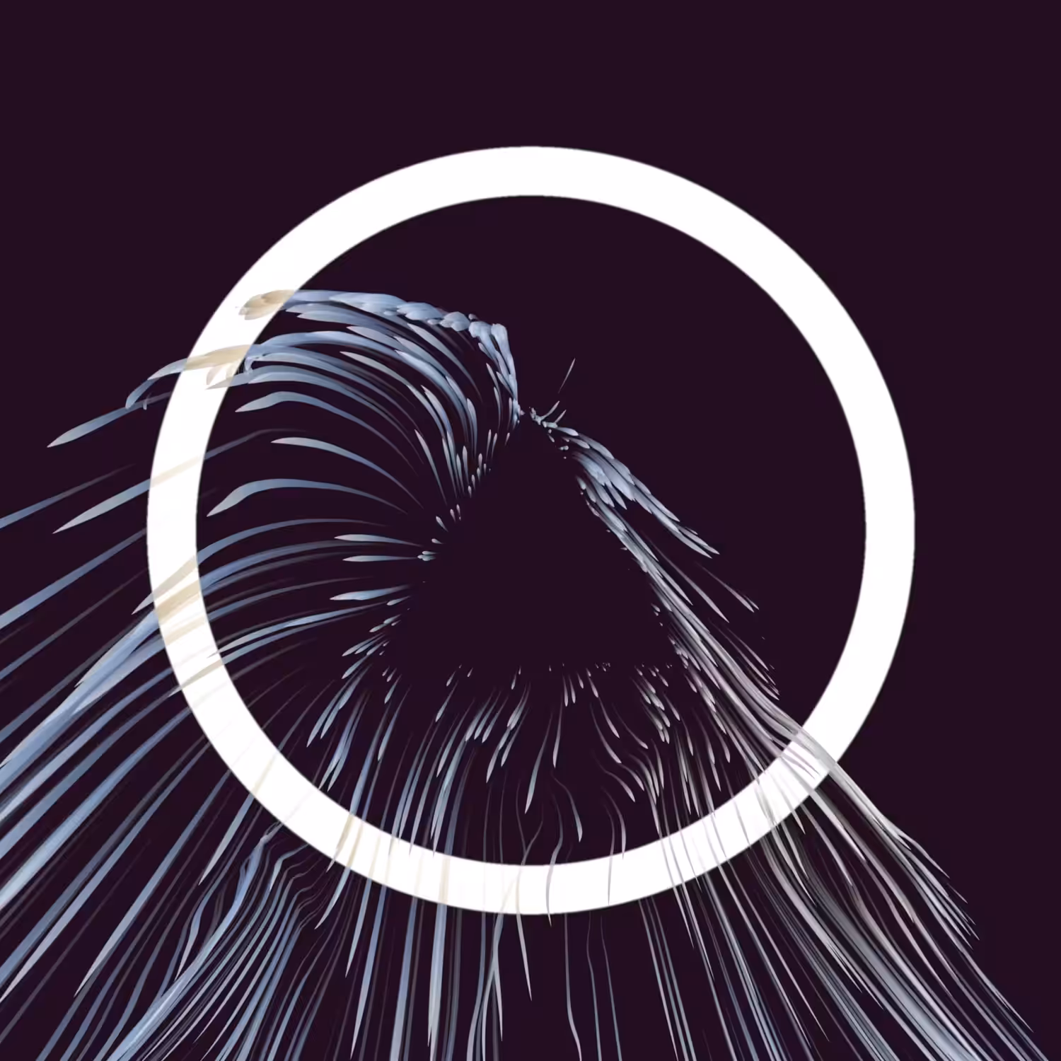 Vortex #751