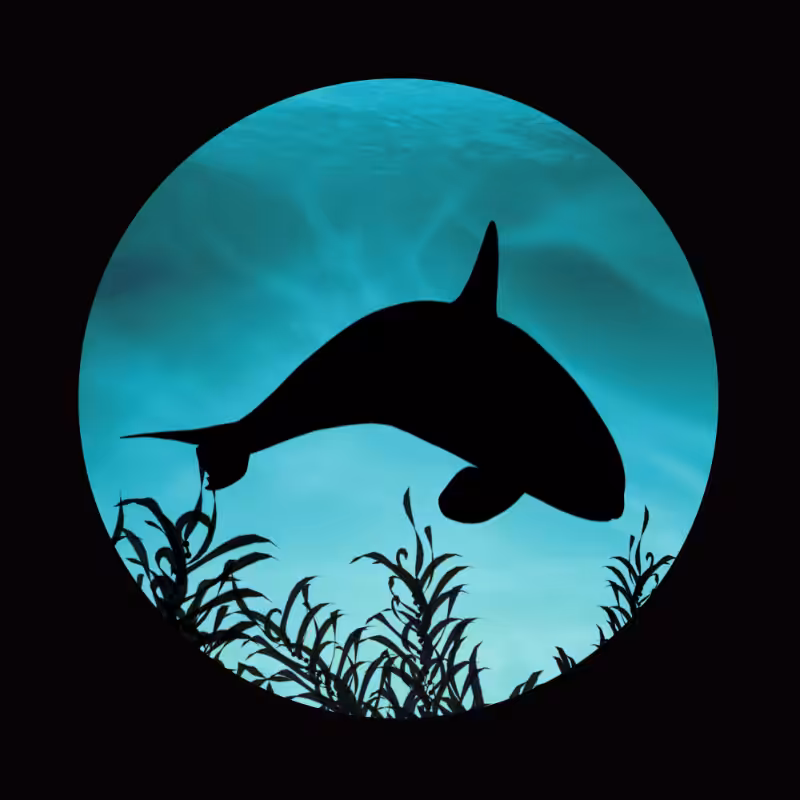 Whale #6