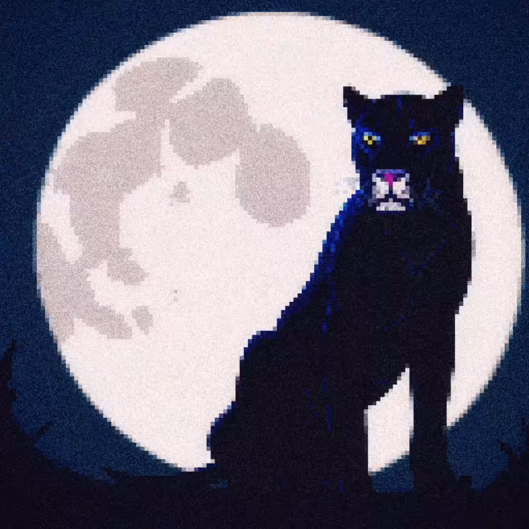Pixel Panther 
