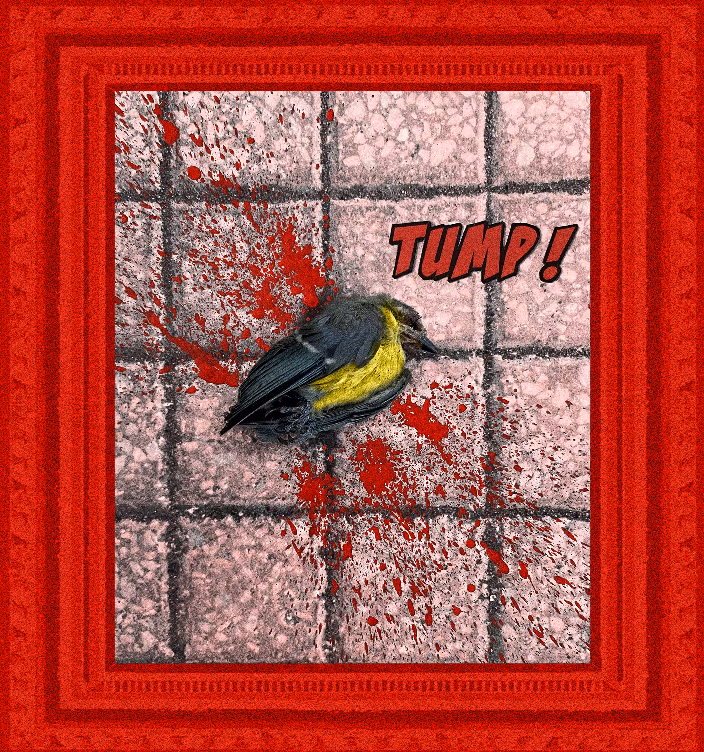 Tump! (or the Darwin's Law)