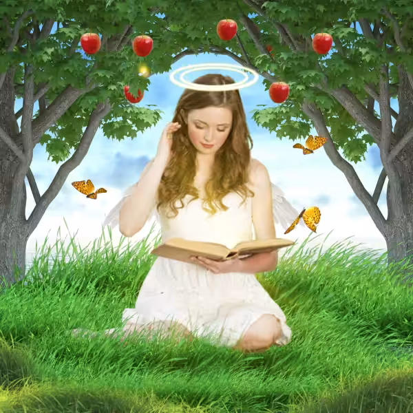 The Book is a Window to the World