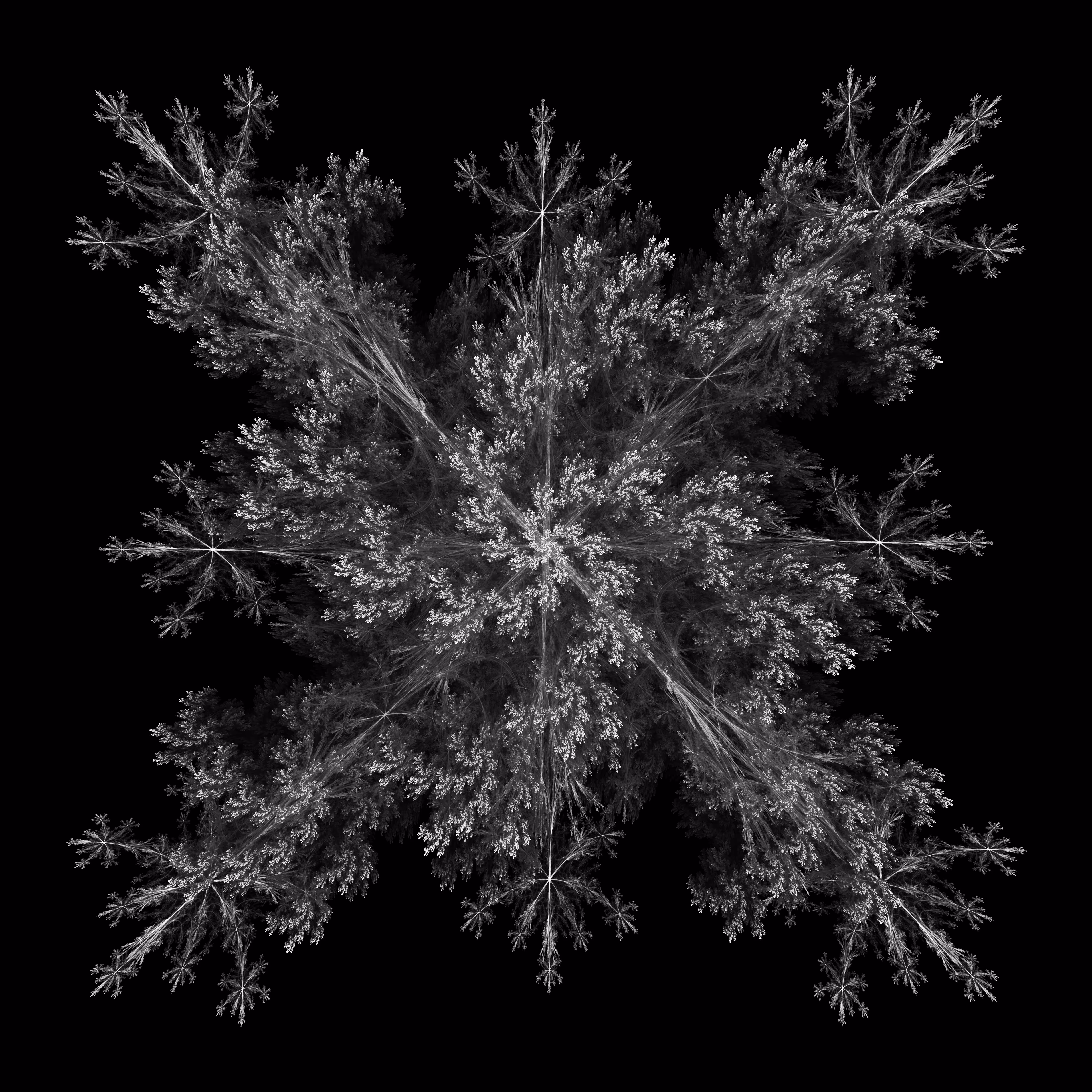 AVARICE