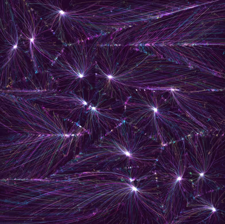 Connections #3