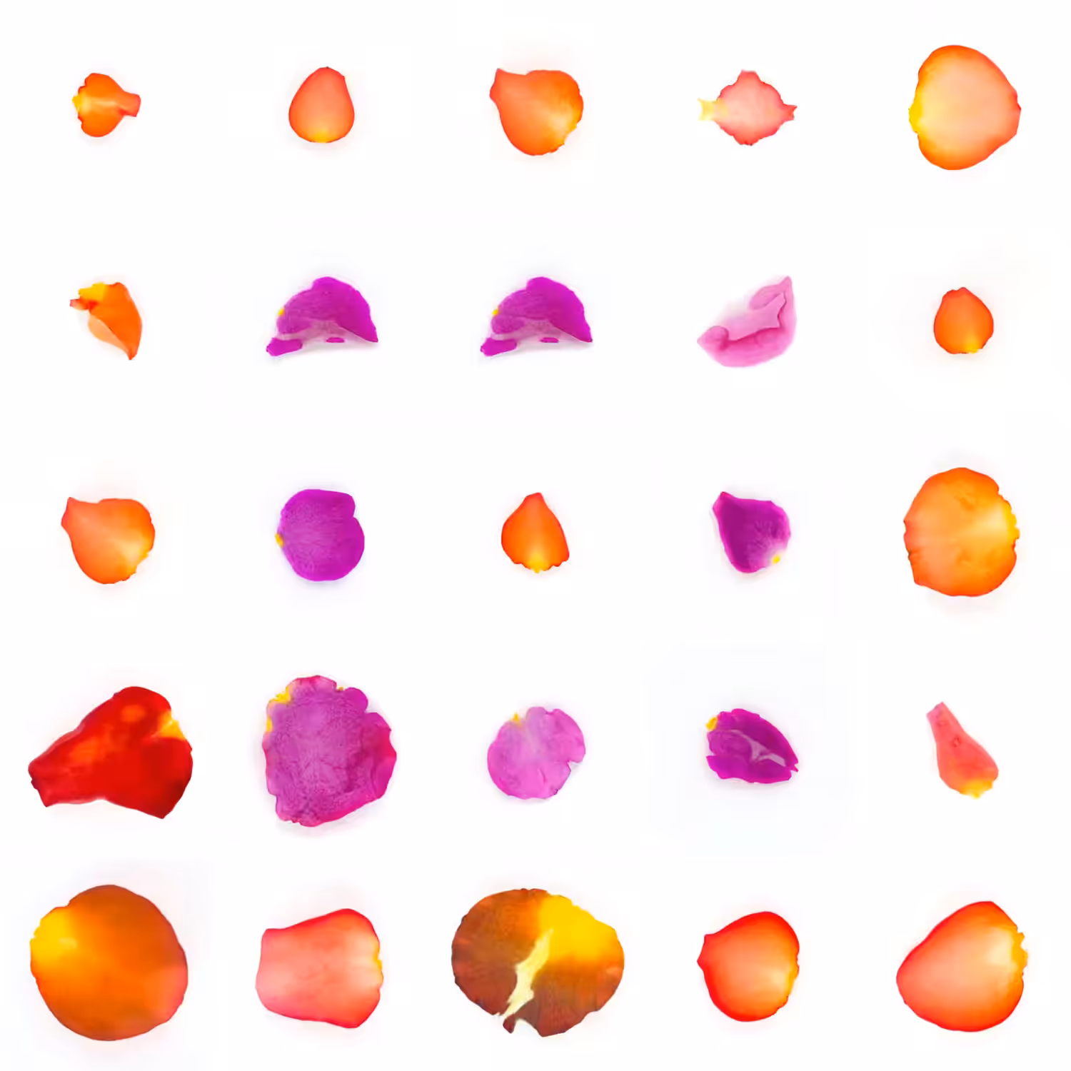 Infinite Petals 5x5#20139