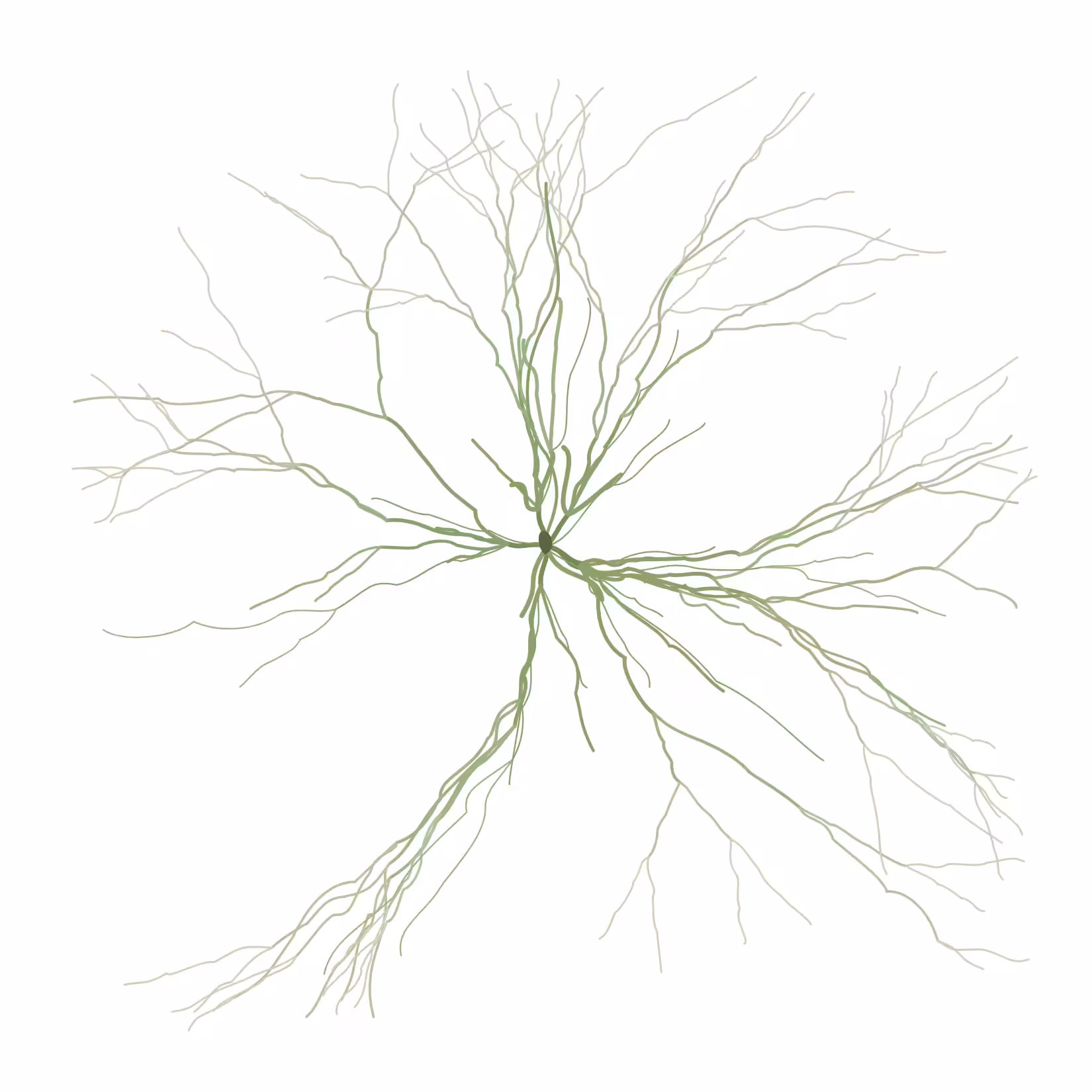 Ghost Forest Seedlings: Ghost Forest Seedling #220