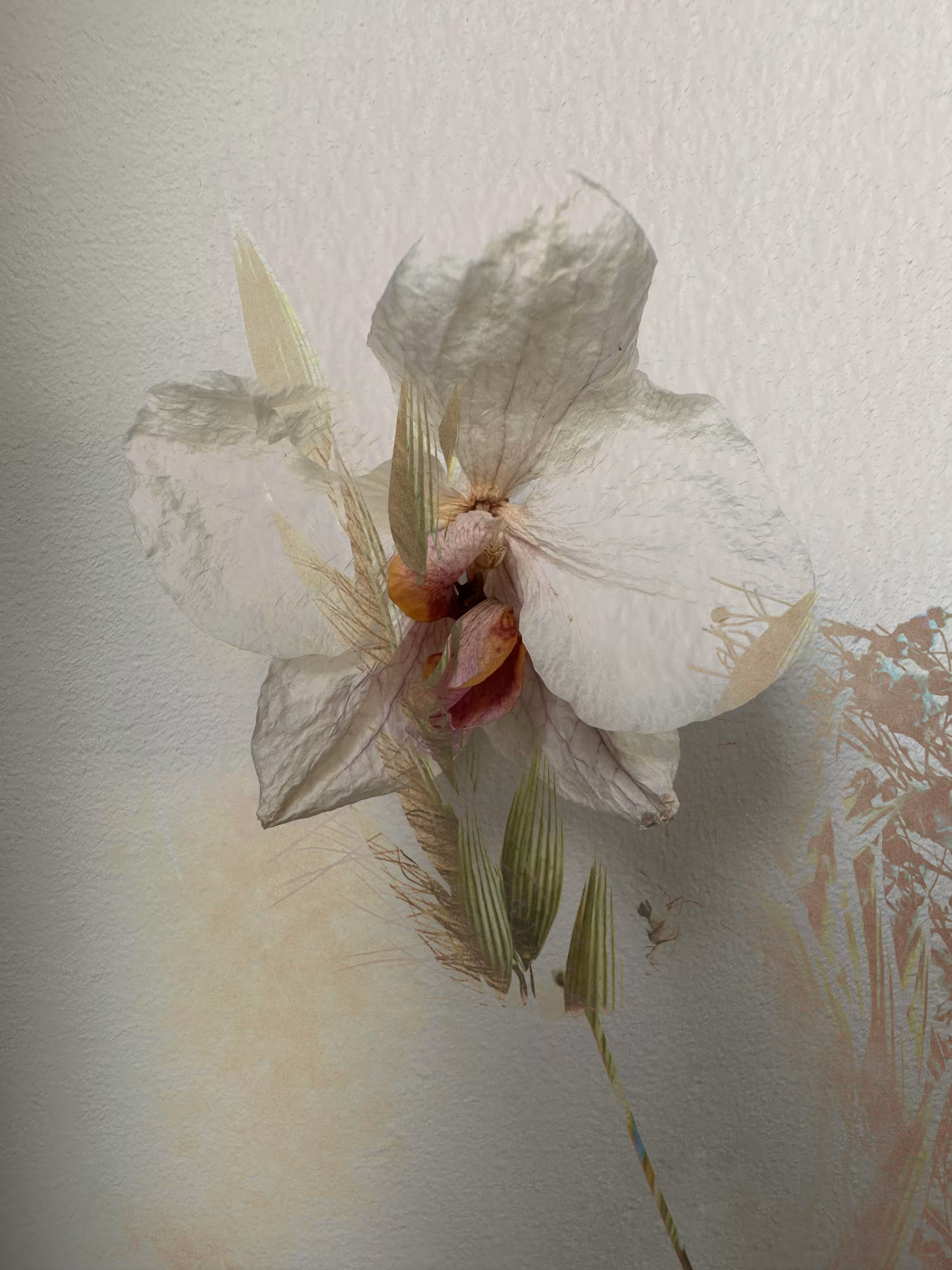 Resurrecting Hope