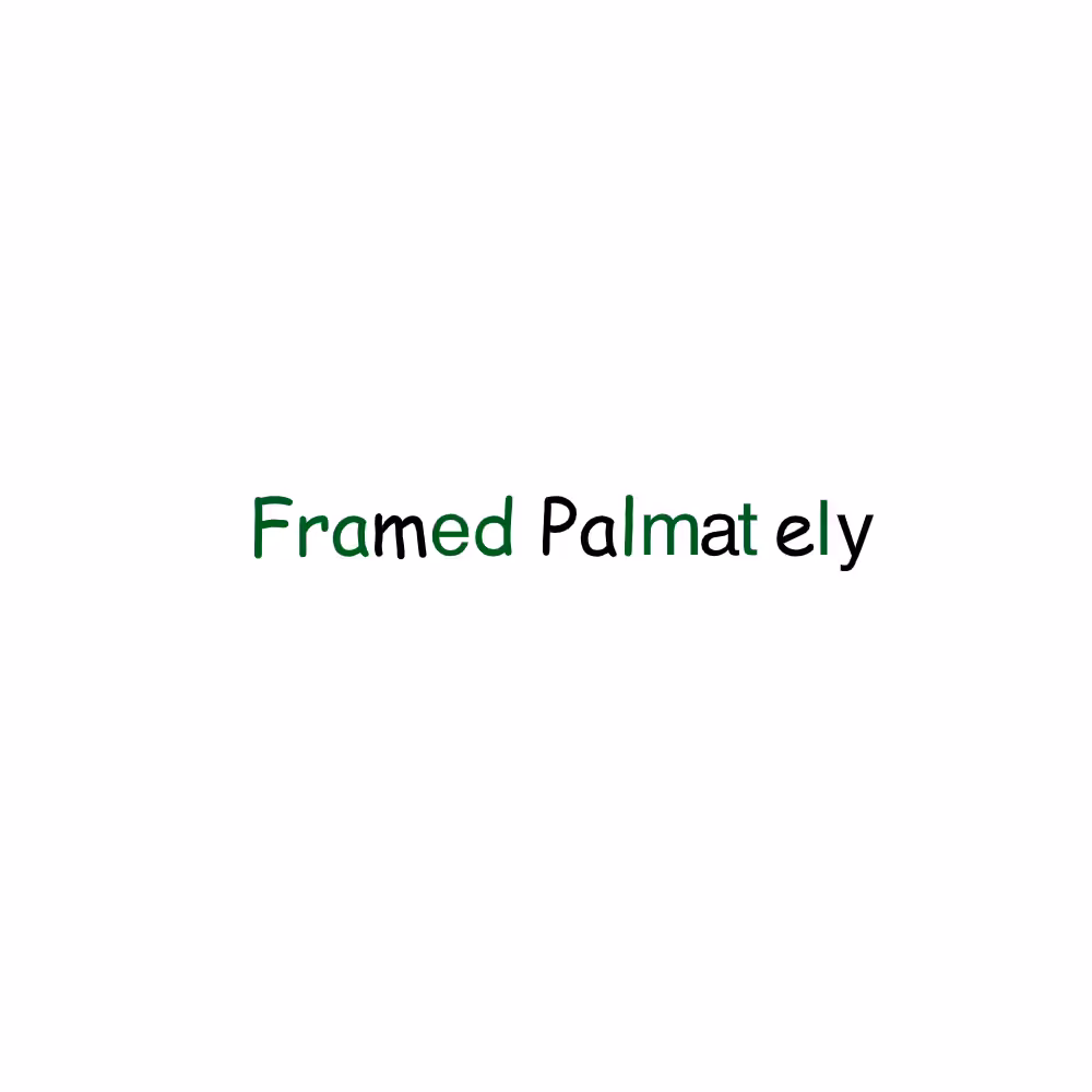 FP x FP #12
