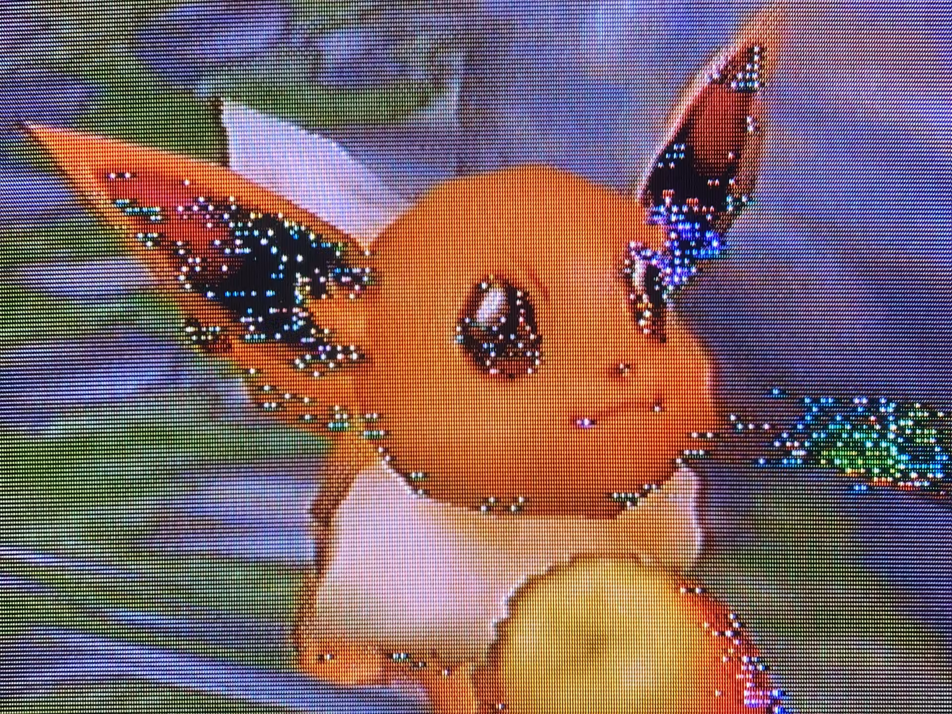 Evolution Eevee
