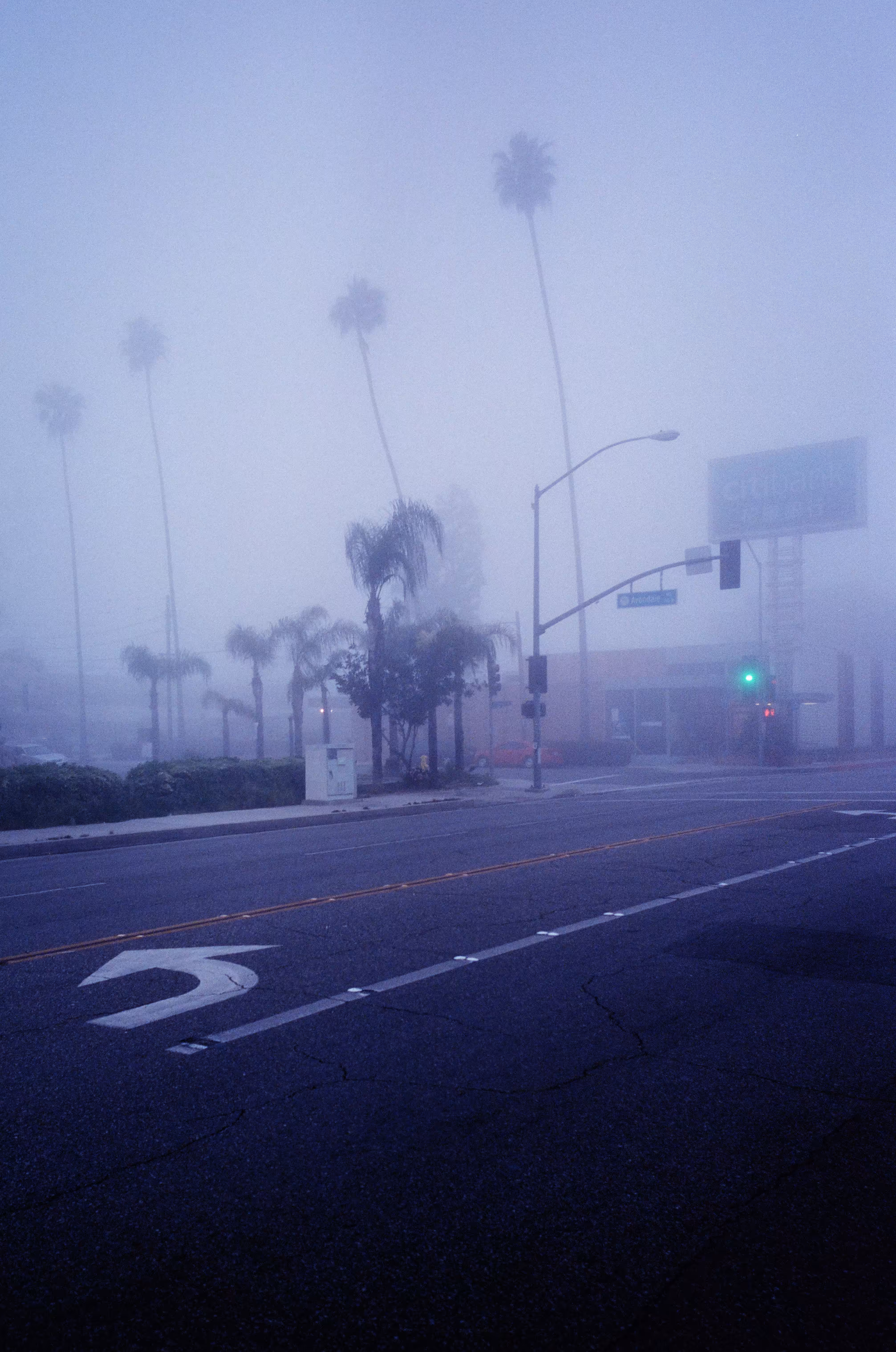 Velvet Dawn
