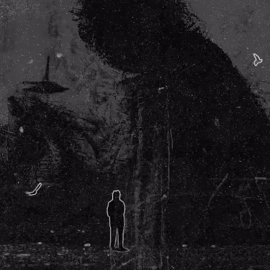 Man on the Moon
