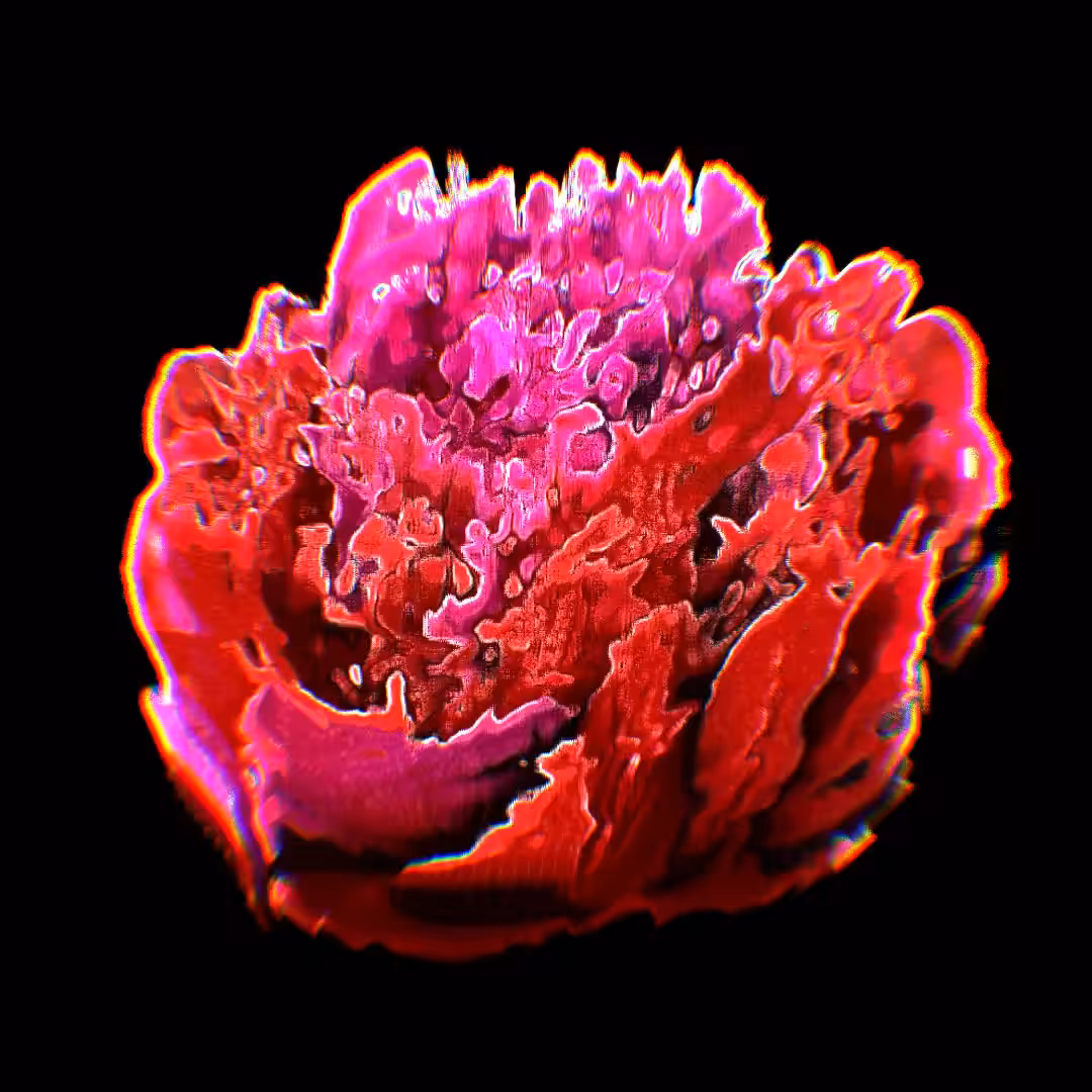 DreamscapeArtifact#11 Illuminate Rose