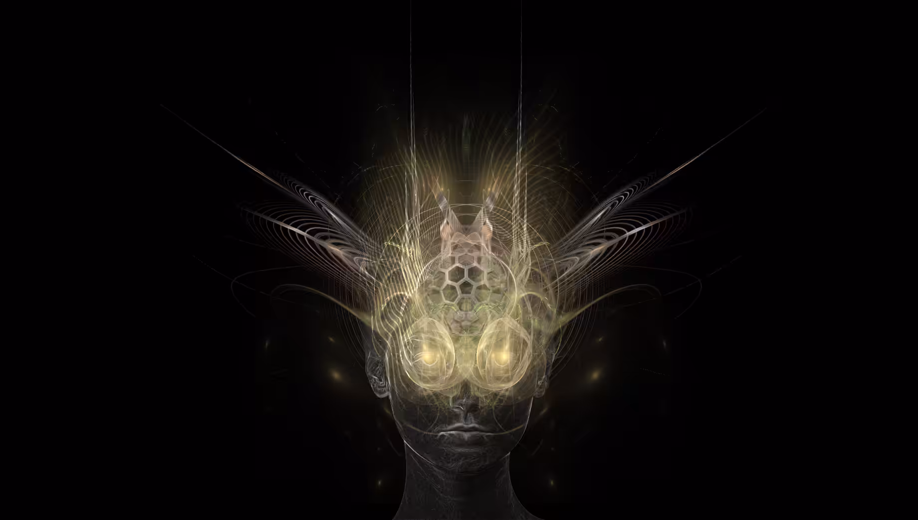 Duchess Hexa