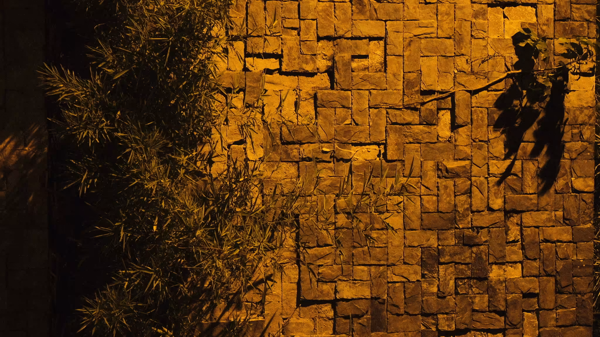 WALLZ_04