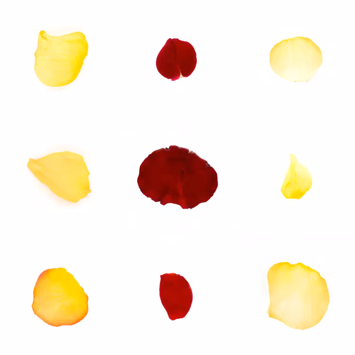 Infinite Petals 3x3#3250