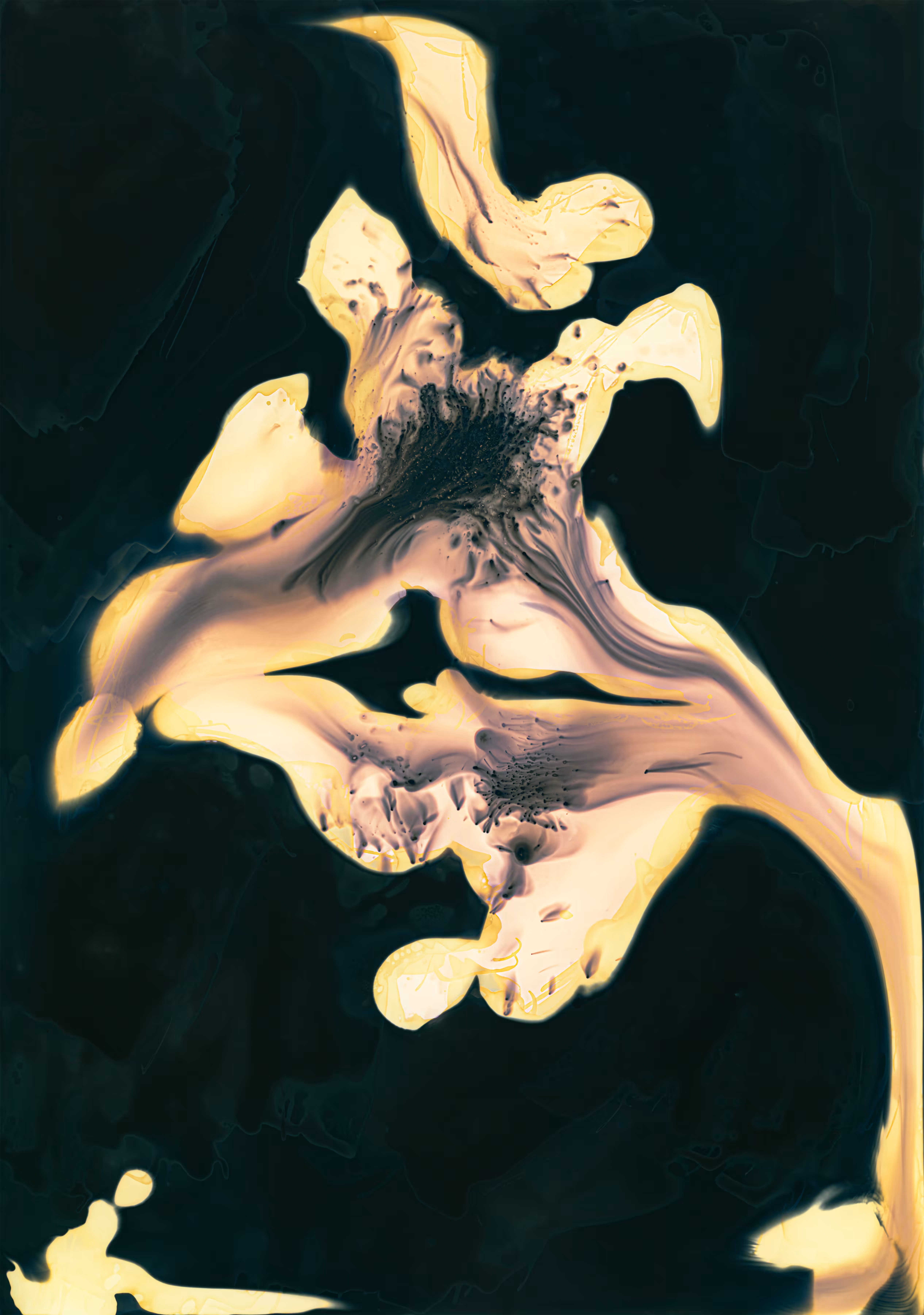 Flower I