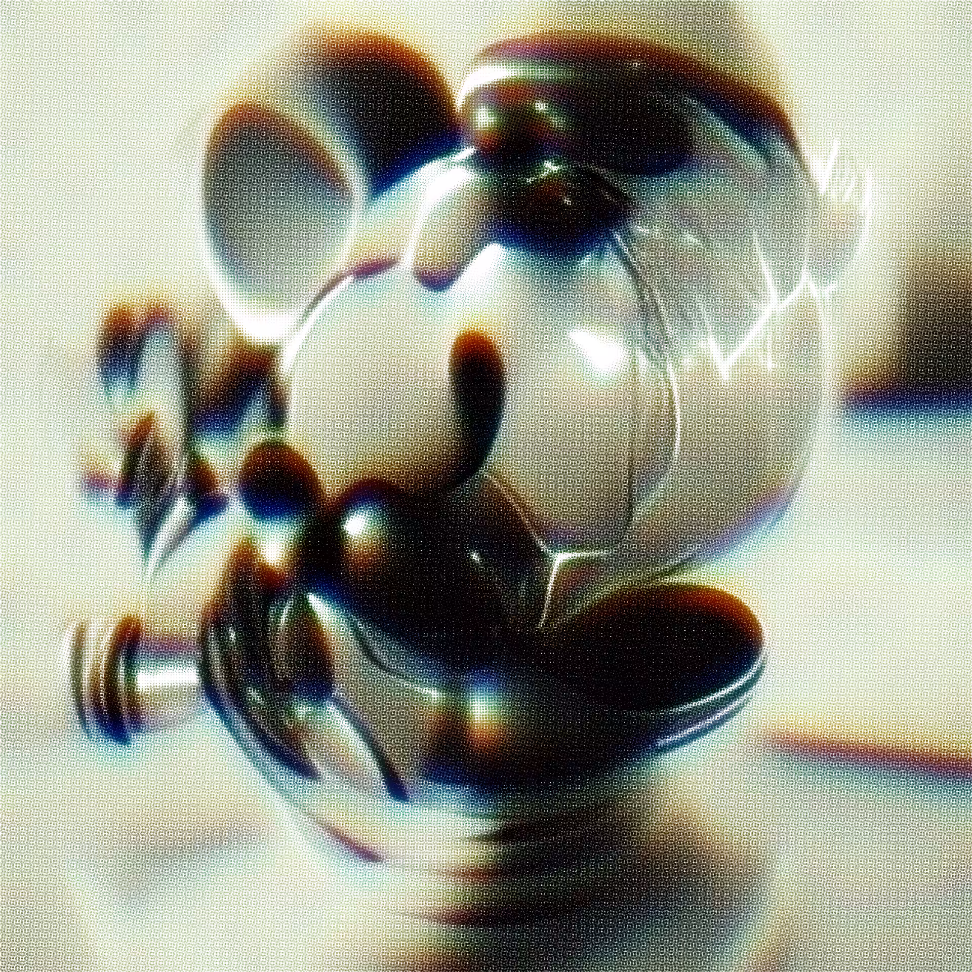 UNTOLD