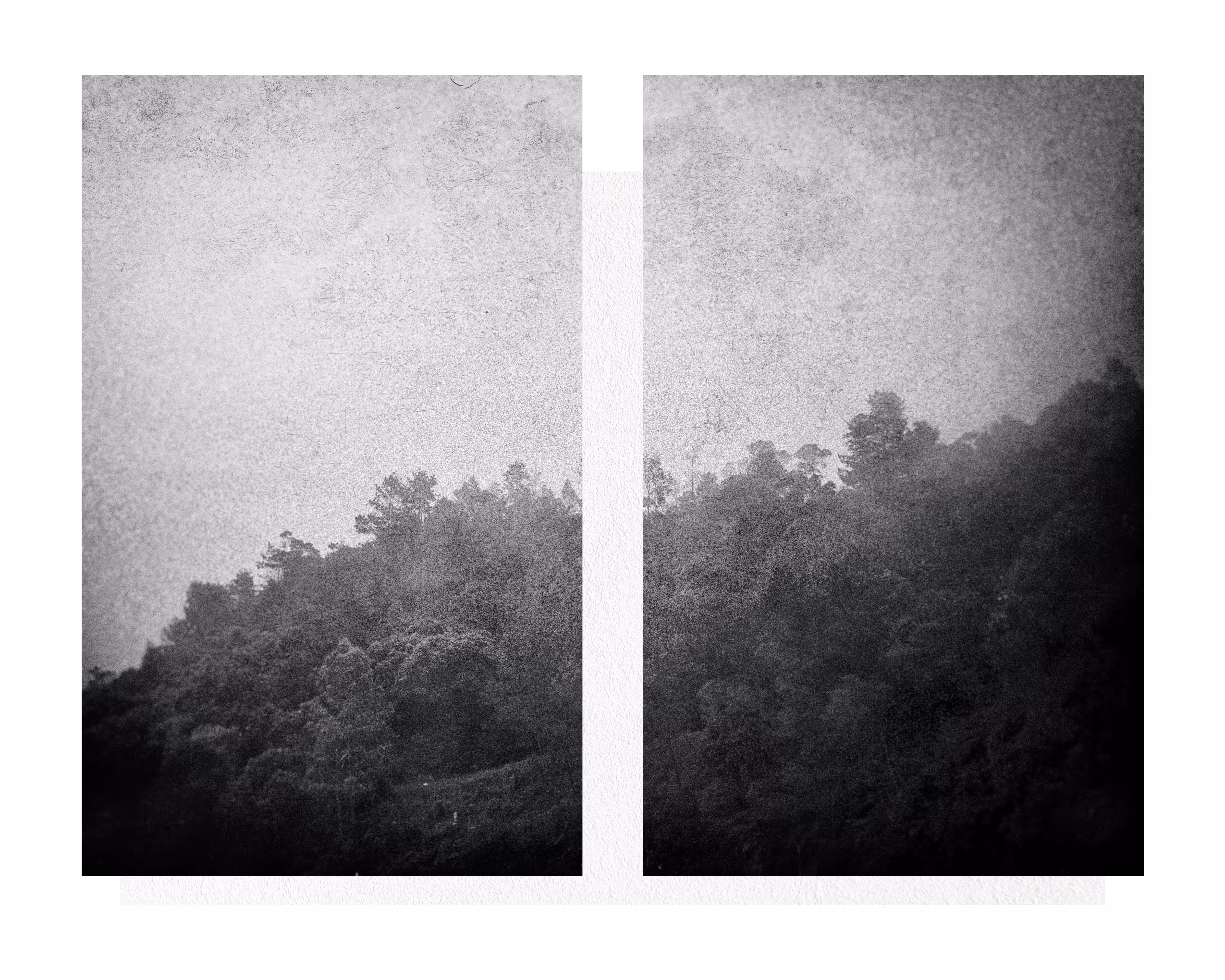 Misty Mountain Hop