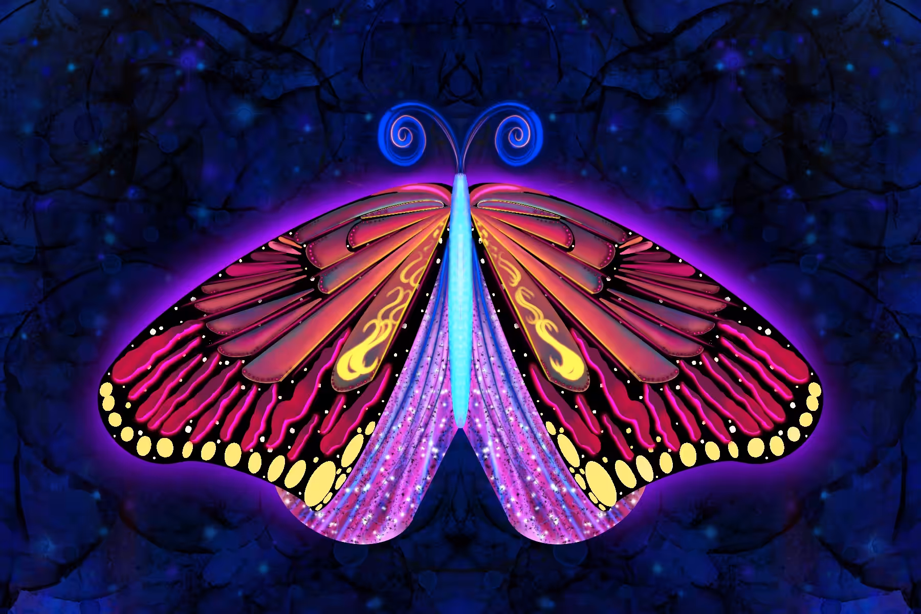 Wise Butterfly 07