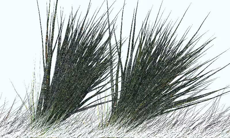 Sketches:Pairs of Tails:Majestic Creatures #4