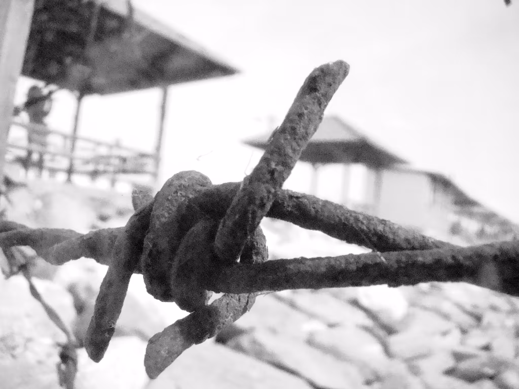 Fence