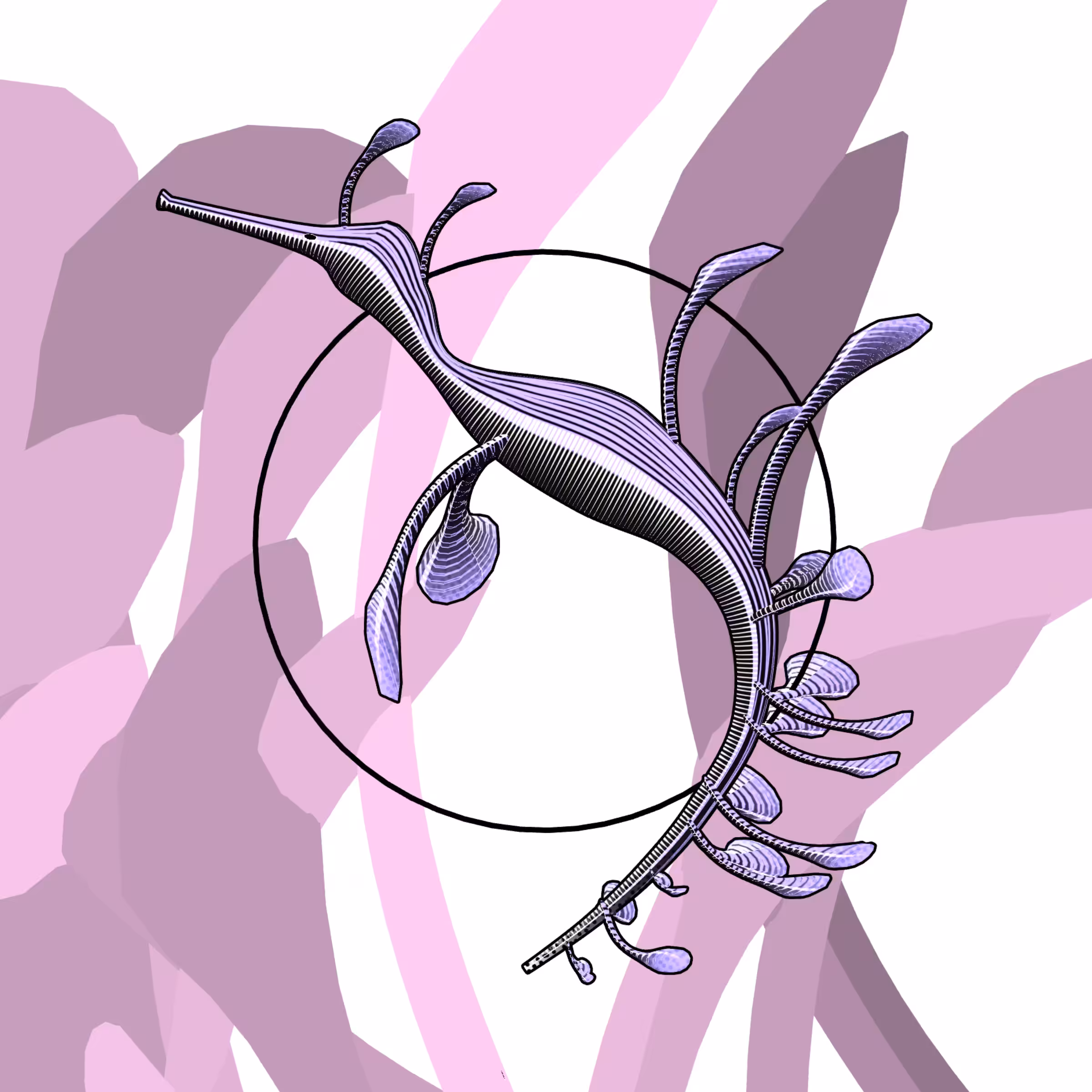 Seadragons #227