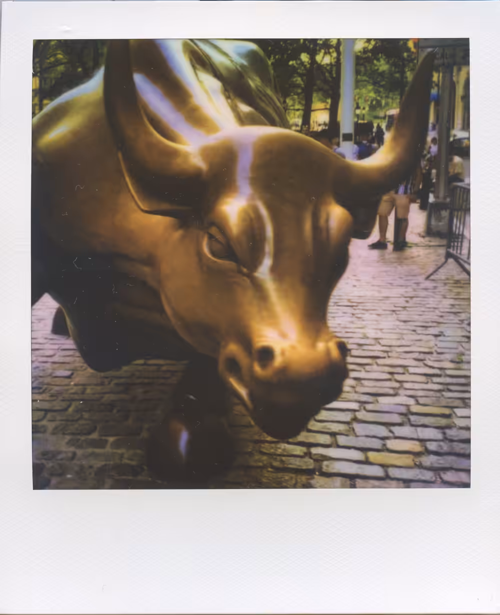 WALL STREET BULL + AR