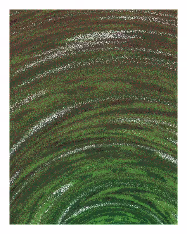 Pohā #33