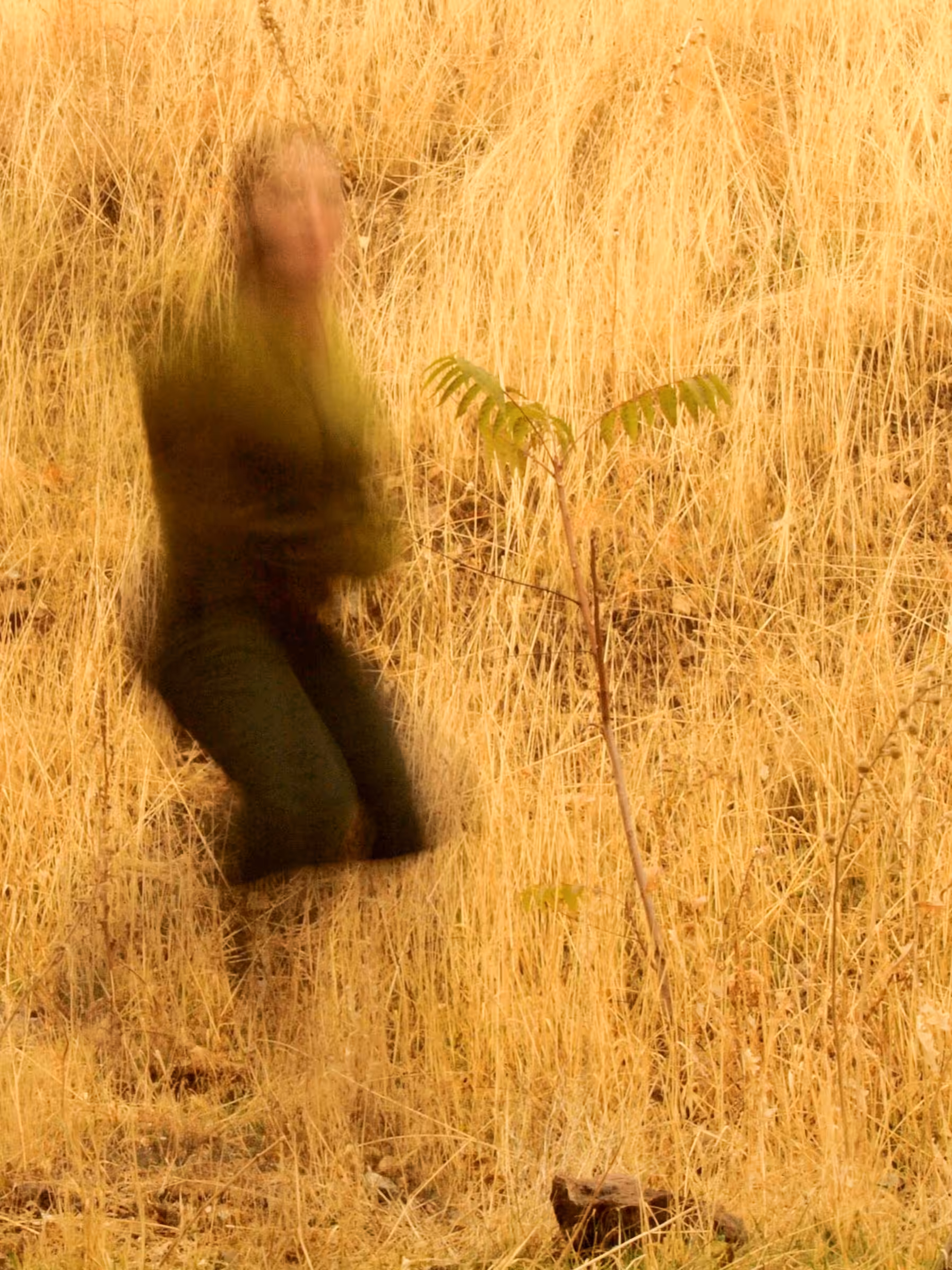 Inner nature