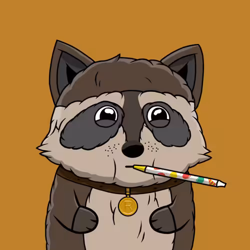 Raccoon #34