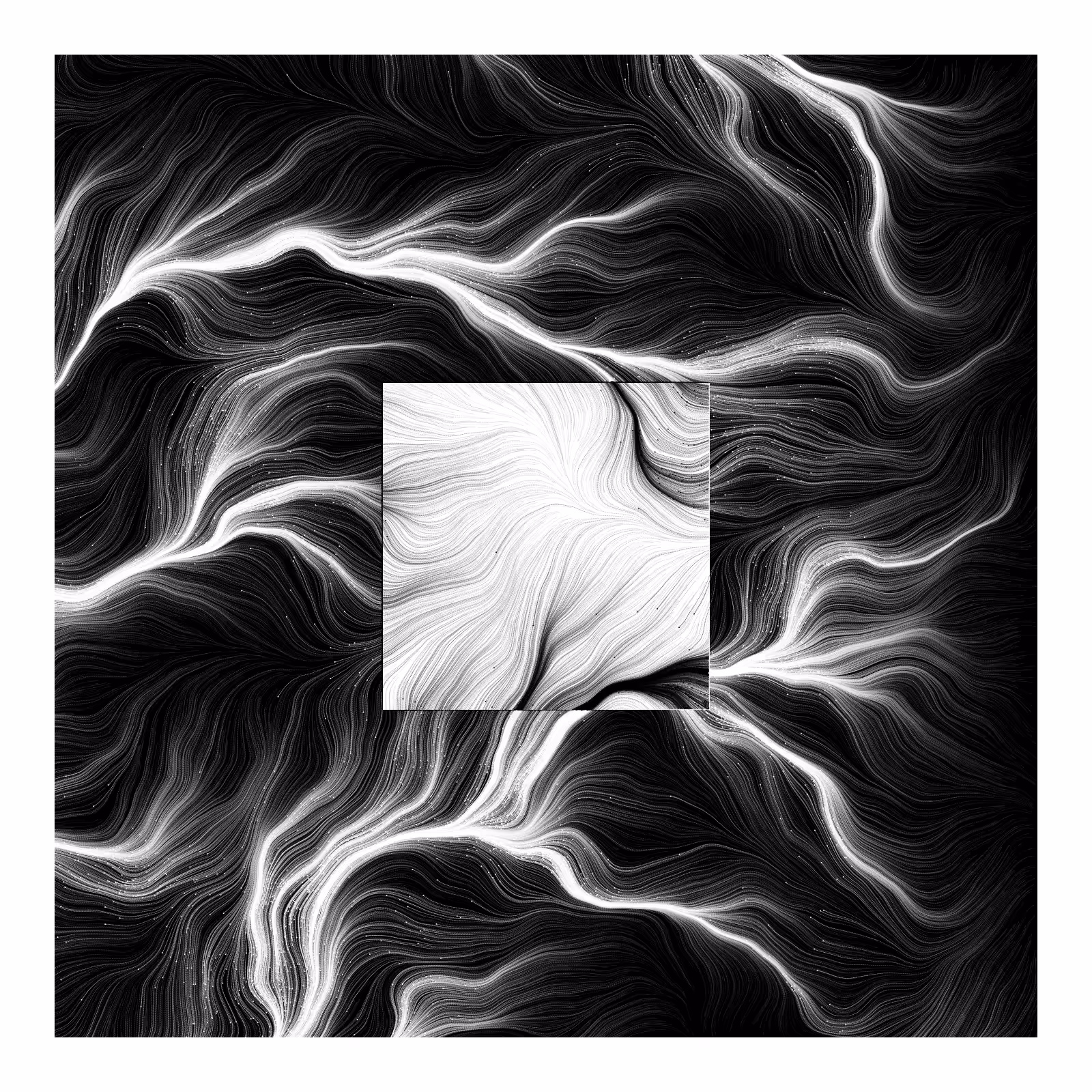 Optic Fibre in Monochrome - 2