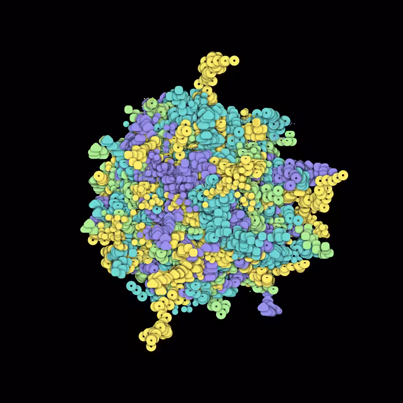 weird transformations #27