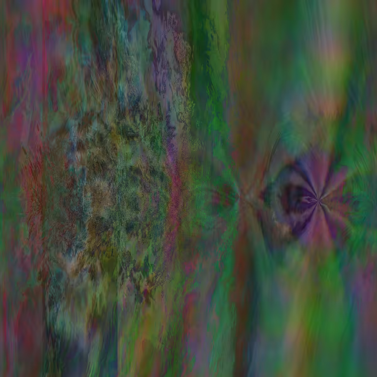 DMTrip #11