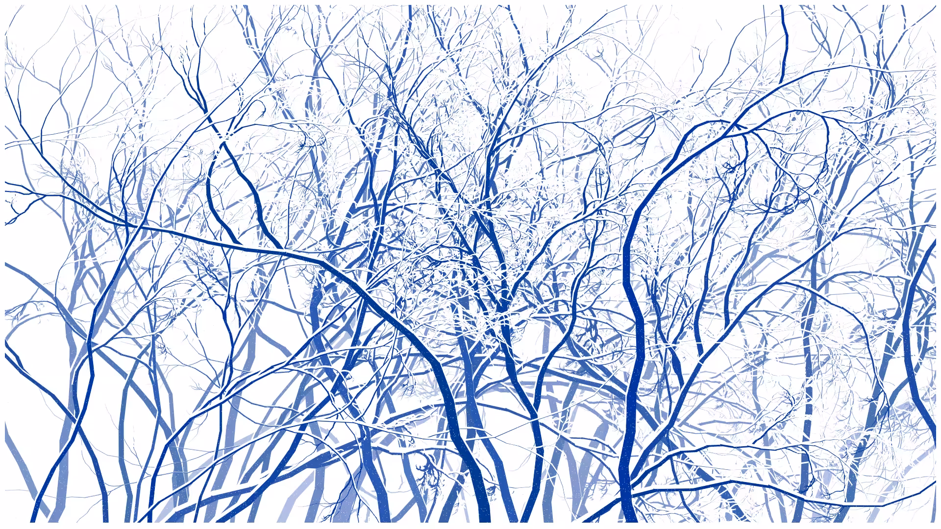 SCHNEEWALD #54