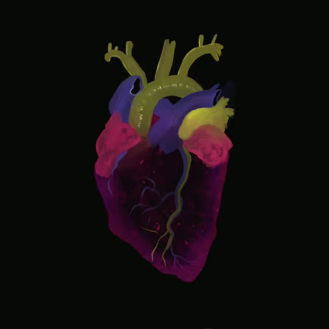 My Heart System