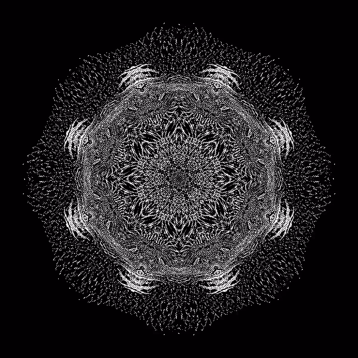 black orbital enigma X15