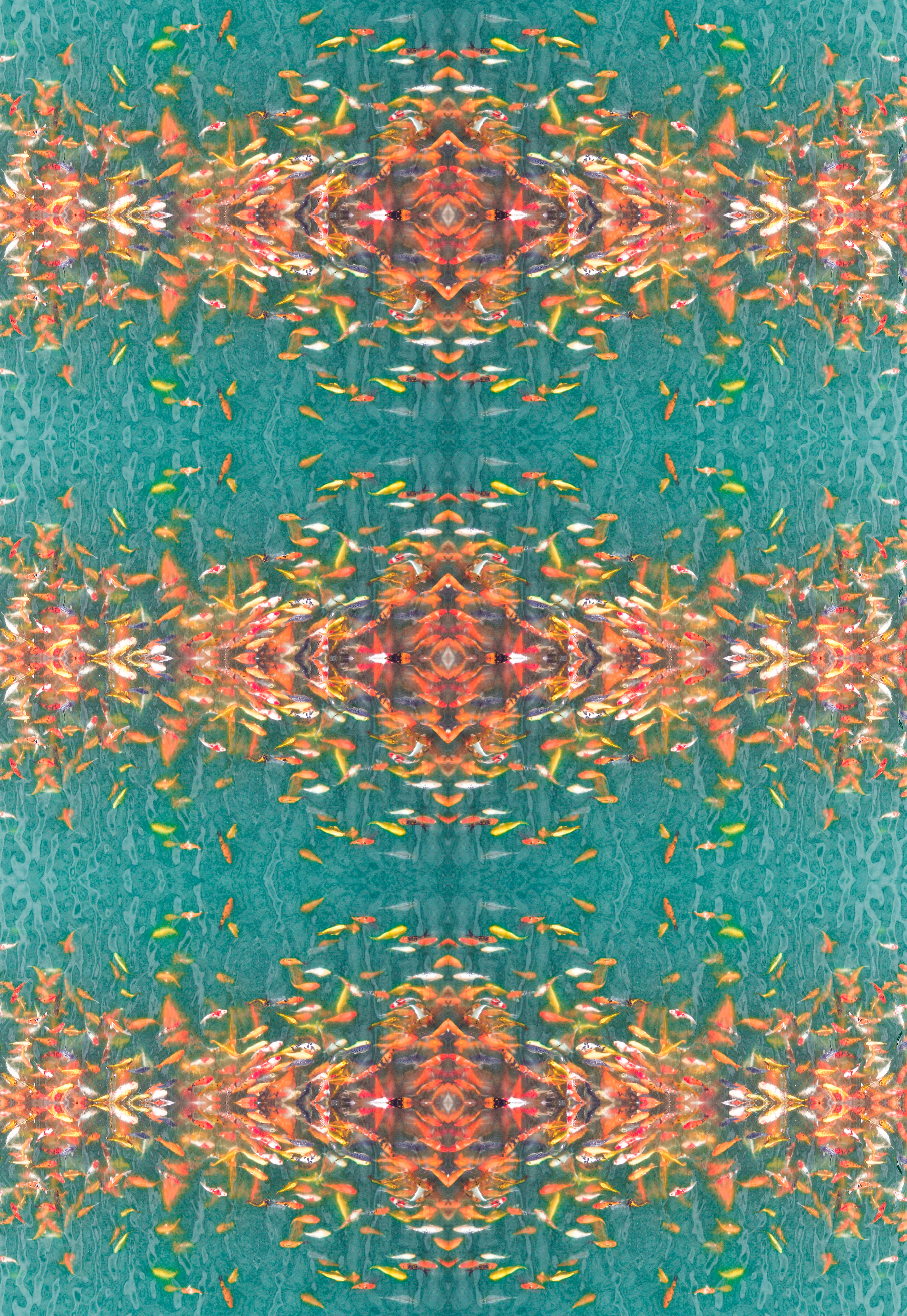 𝗔𝗯𝘀𝘁𝗿𝗮𝗰𝘁 Koi Carp Fish - Symetry Art 6