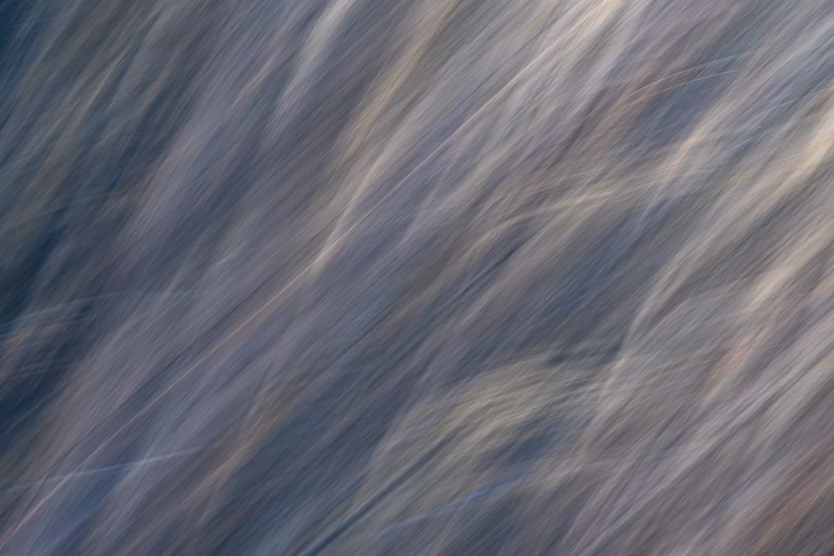The Ghosts of Elowah #21