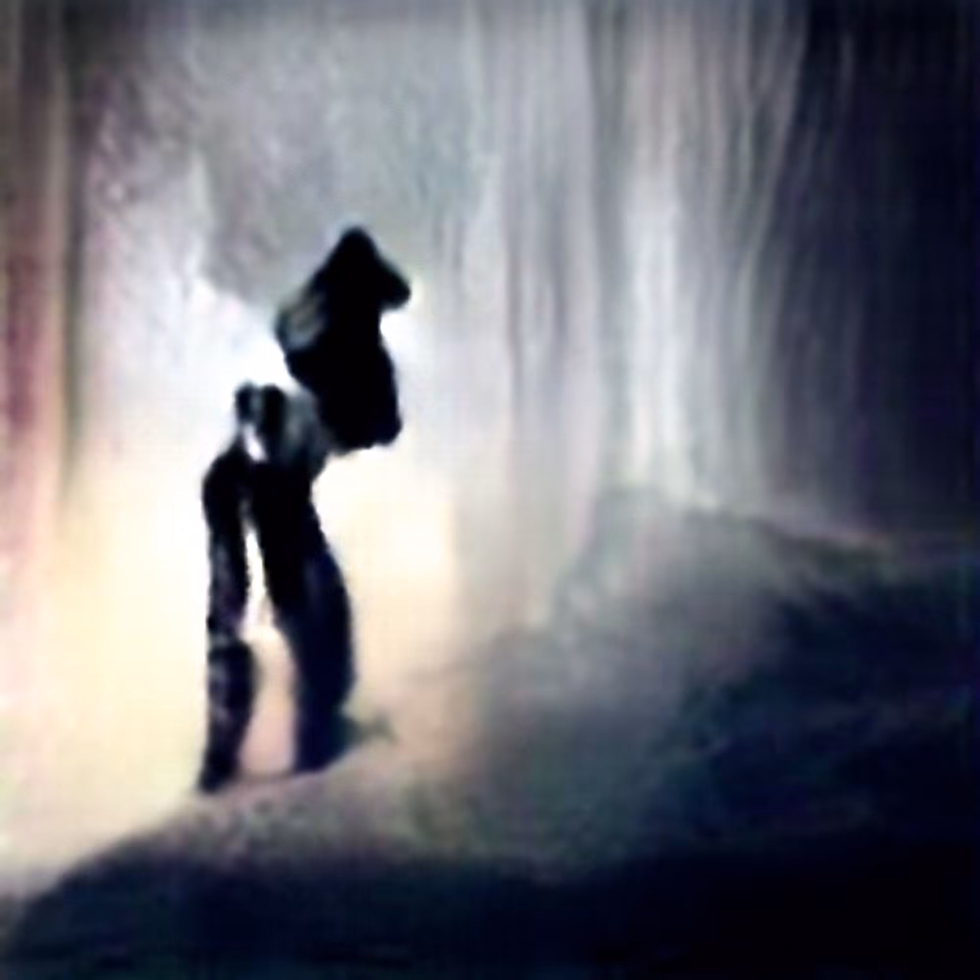 Shadow #10 (Corpus: Things That Exist Negatively)