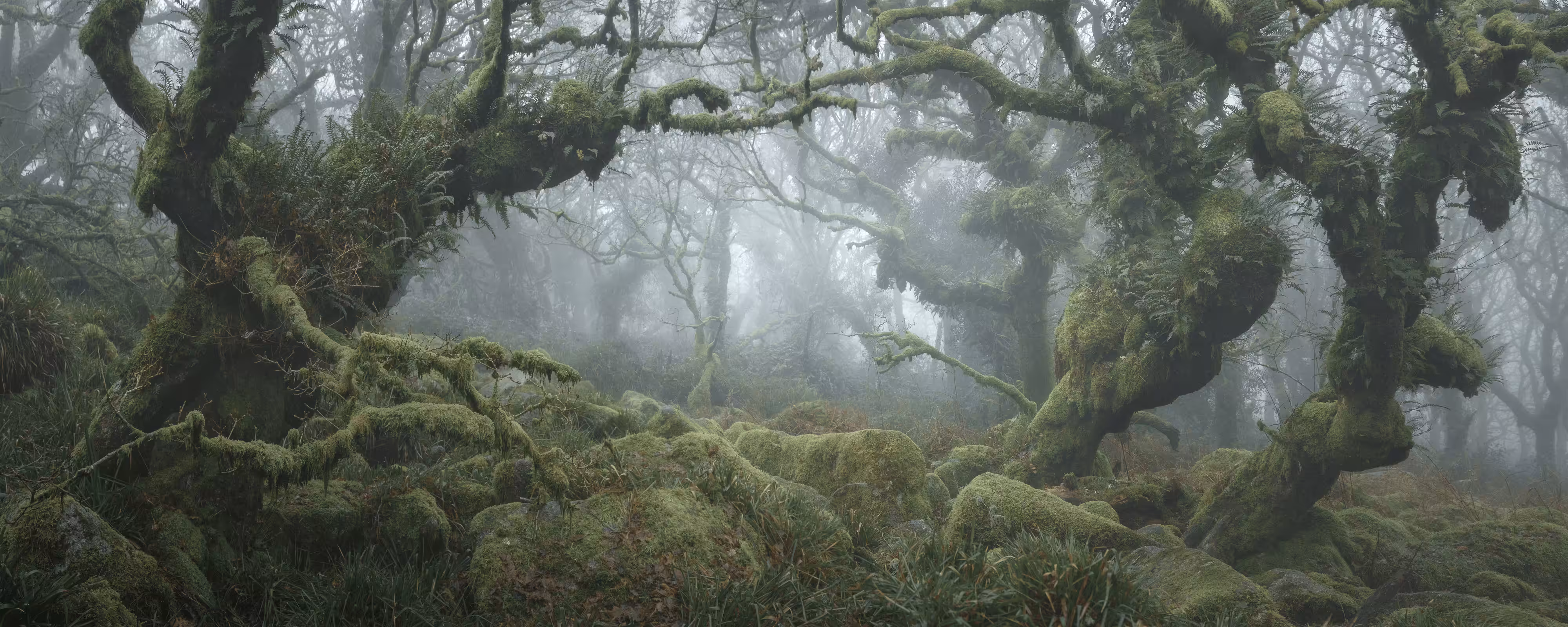 MYSTICAL XLVIII (RETURN) 
