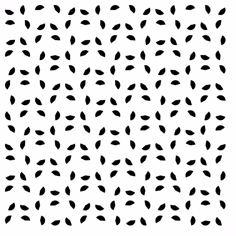 Sacilotto Hash #5