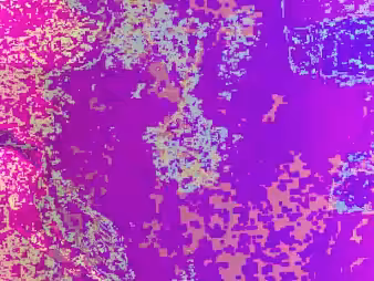 ccphny_3